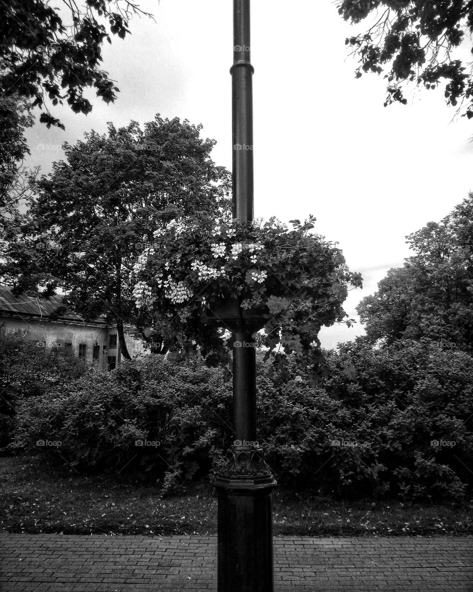 "The most colorful thing in the world is black and white, it contains all colors and at the same time excludes all."
~ Vikrmn, 10 Alone