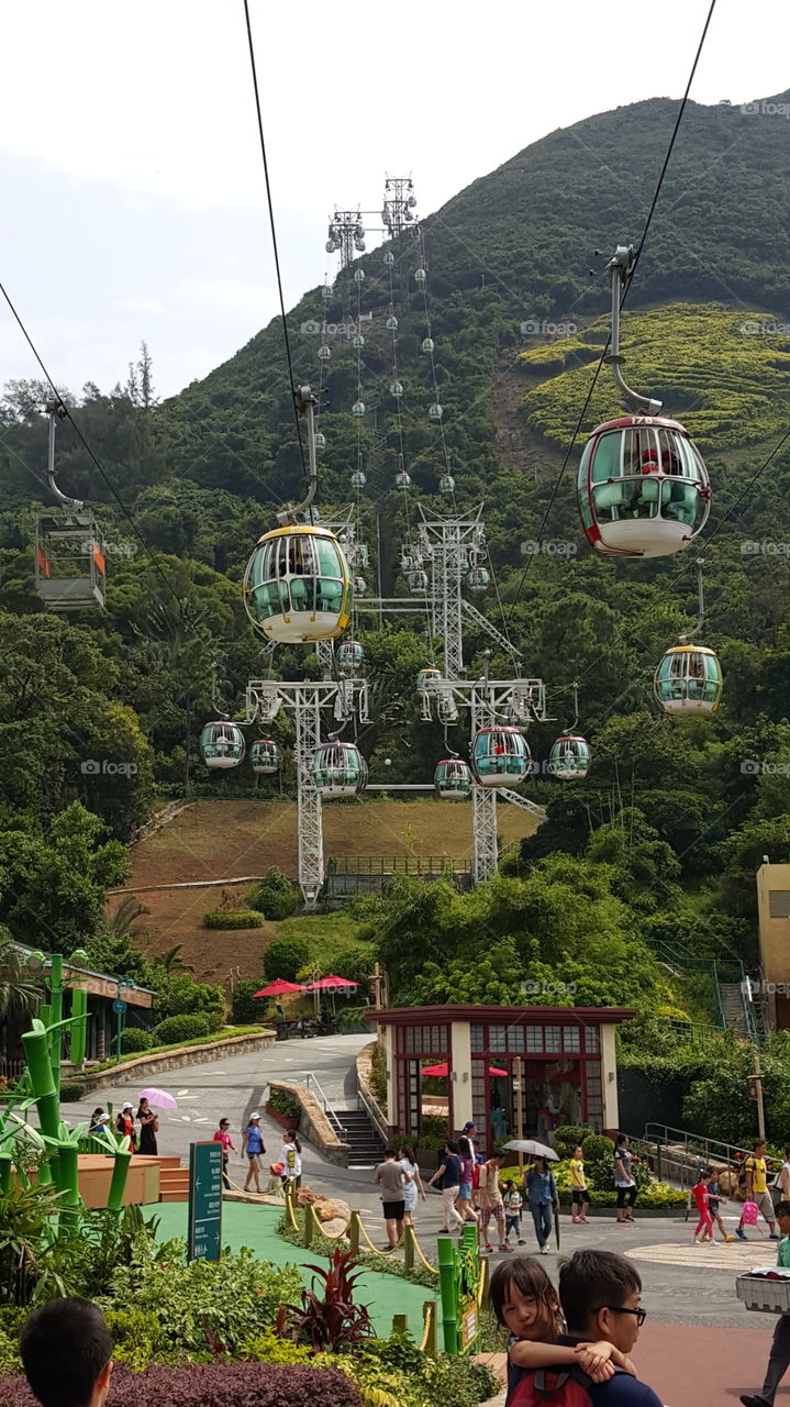 Air-lifts in Hong Kong Zoo