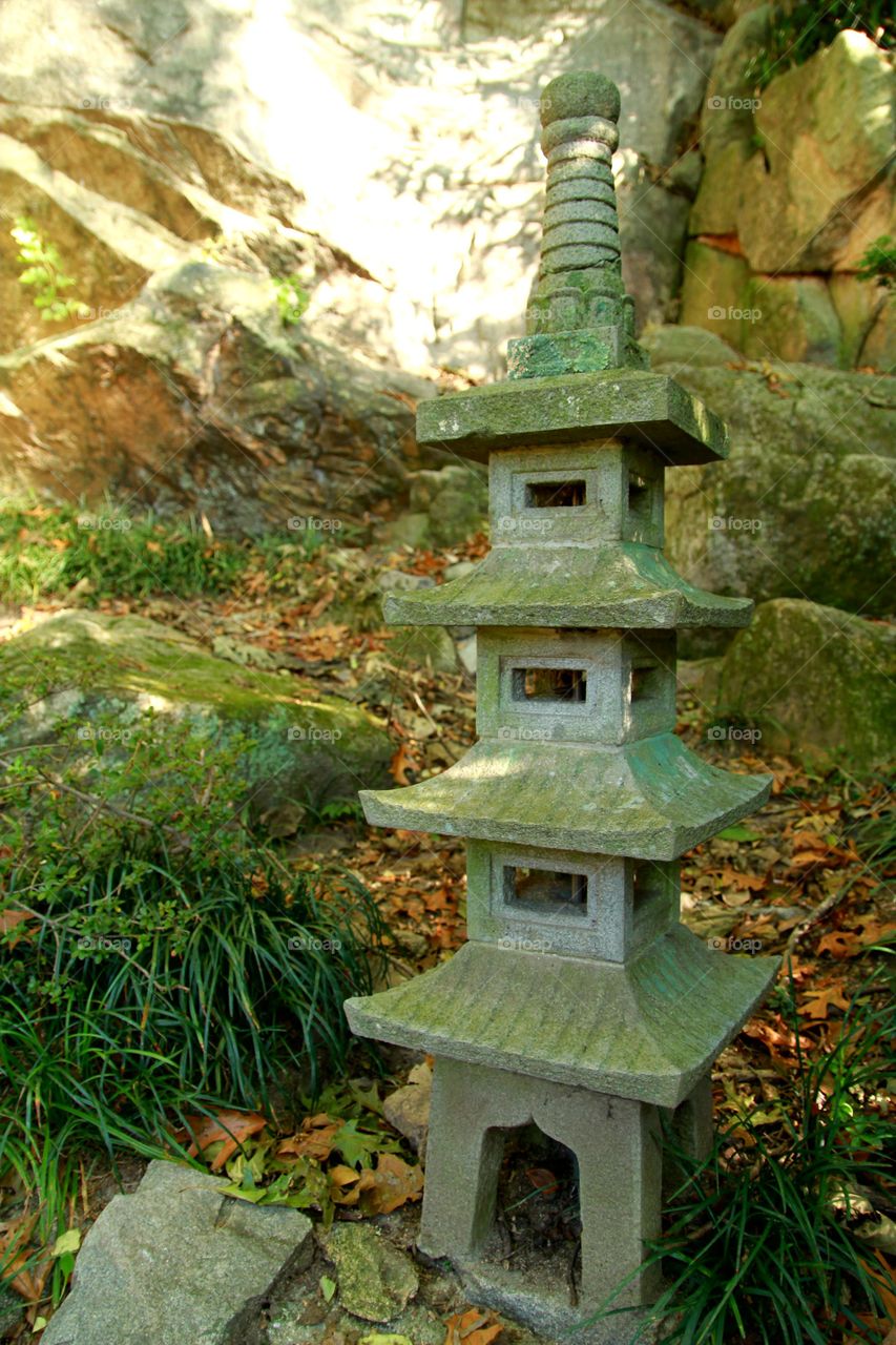 Japanese lantern in autumn