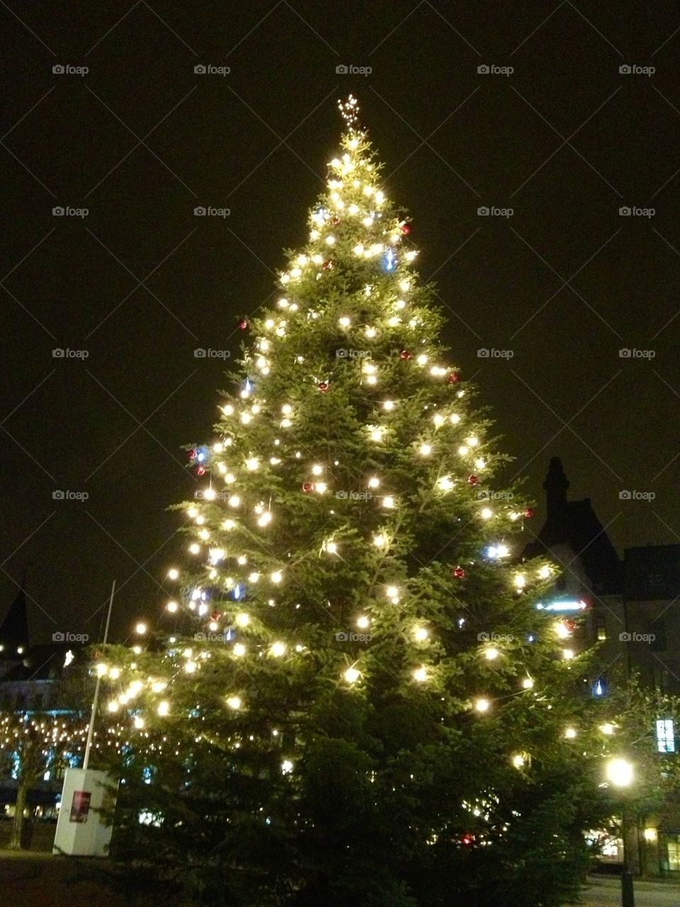 Illuminated christmas tree