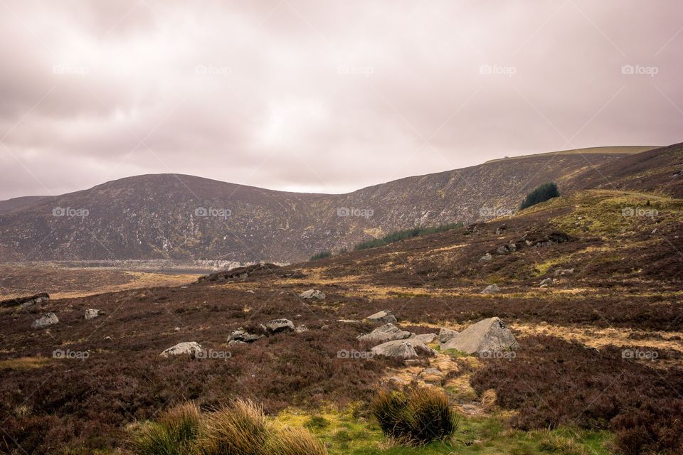 Landscape of Ireland near Gallway