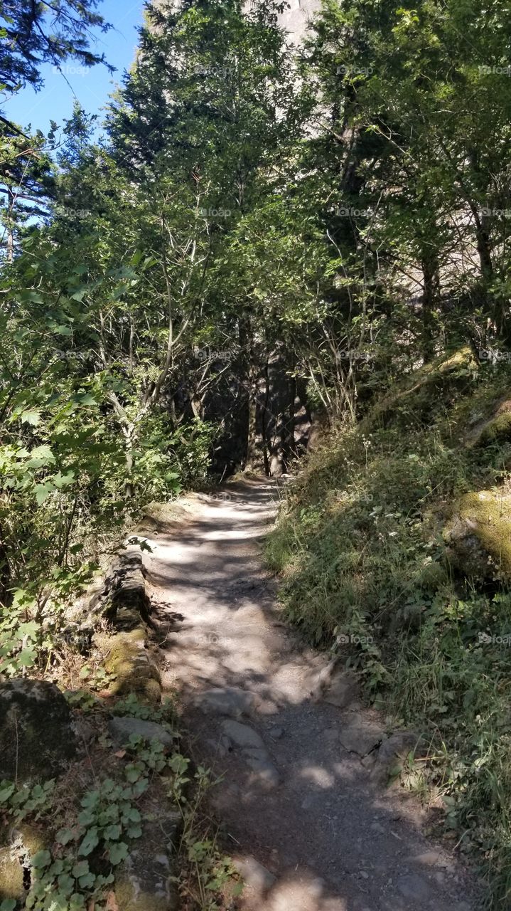 Beacon rock trail