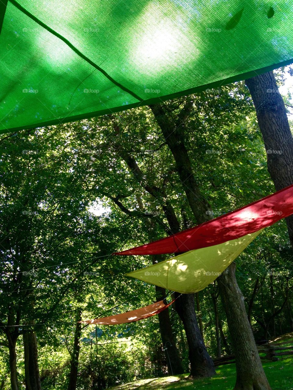 Colors of the rainbow woods. Tree canopies 