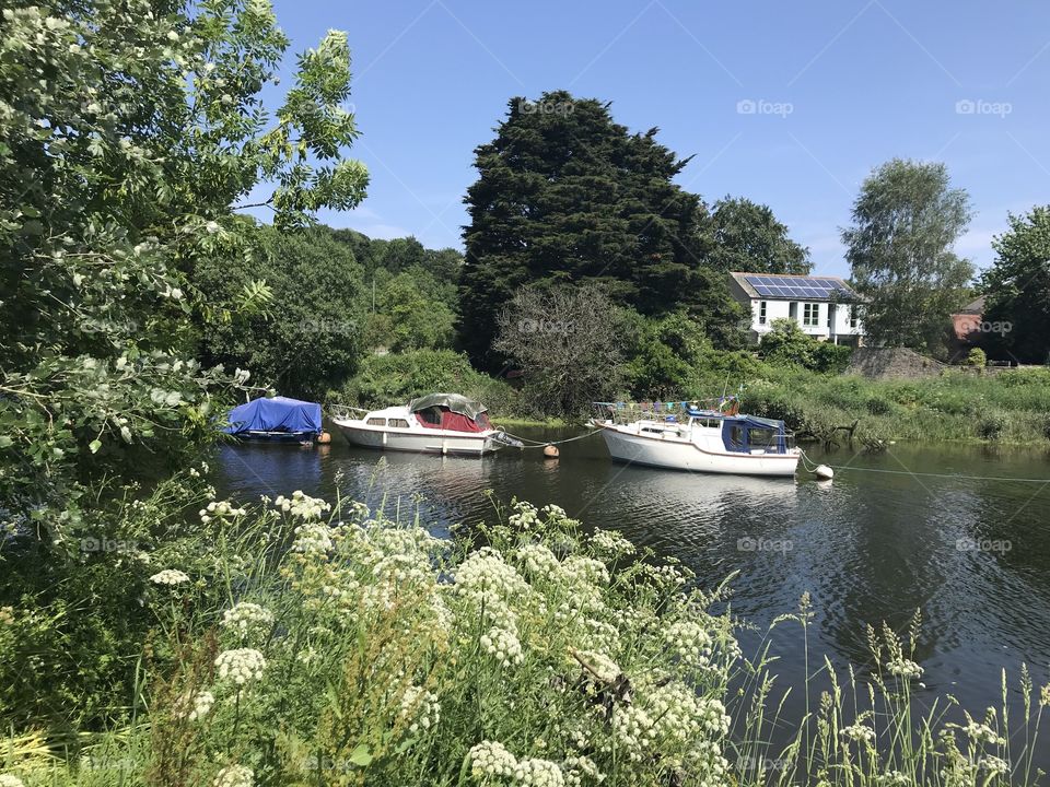Canal Life in Totnes today looked terrific with beautiful sunshine the icing on the cake.