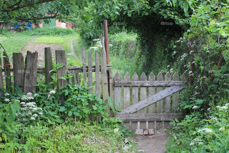 A wooden gate to the gardens is immersed in greenery