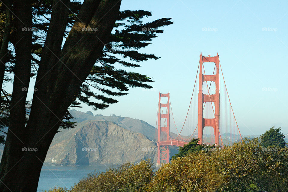 Landscape with Golden Gate Bridge 