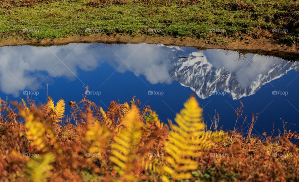 reflection of snow capped mountain in autumn