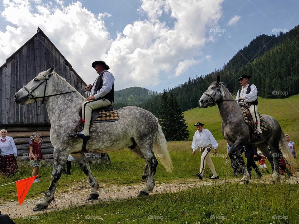 Cavalry, Horse, Mammal, Equestrian, Seated