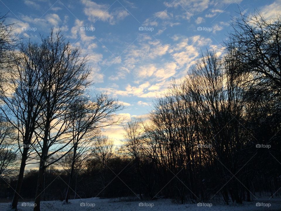 In the woods. A winther day in the woods.
I love nature and this photo is just so fresh and lifeconfirming.