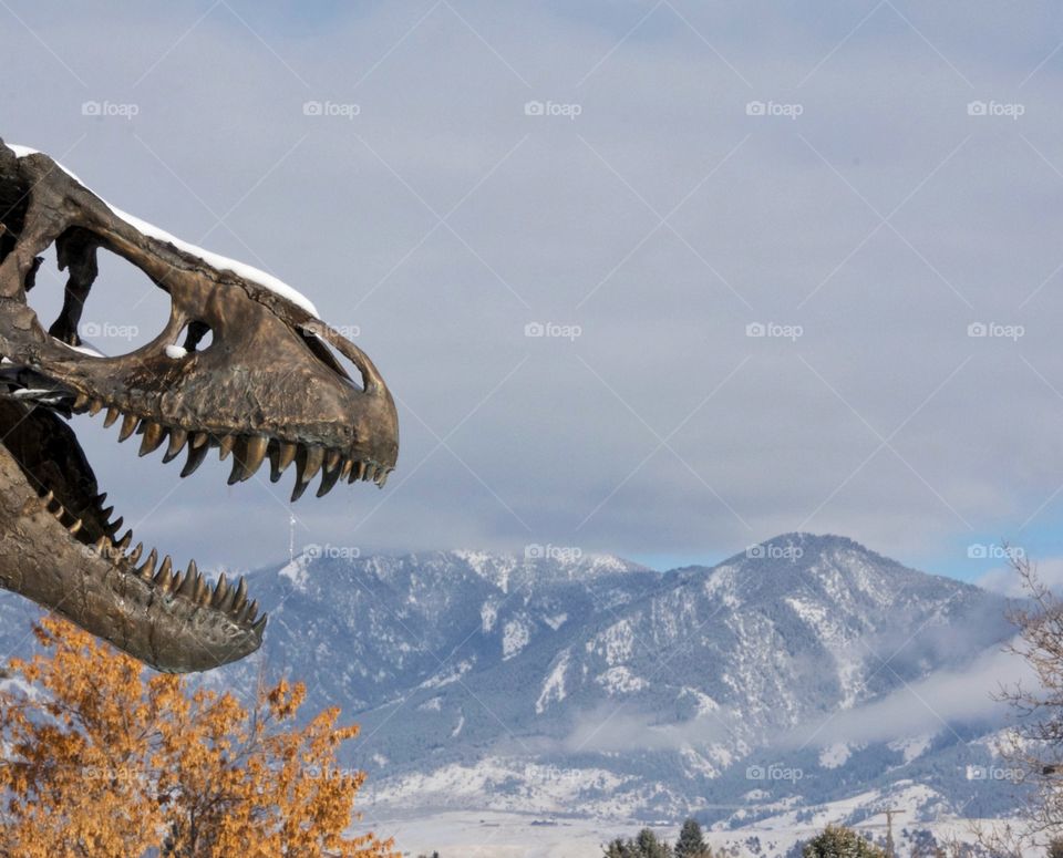 Dinosaur and mountains