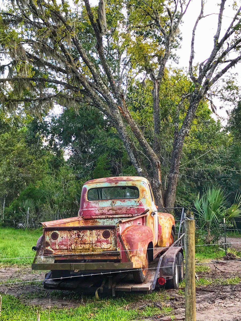 Ford Pickup Sale