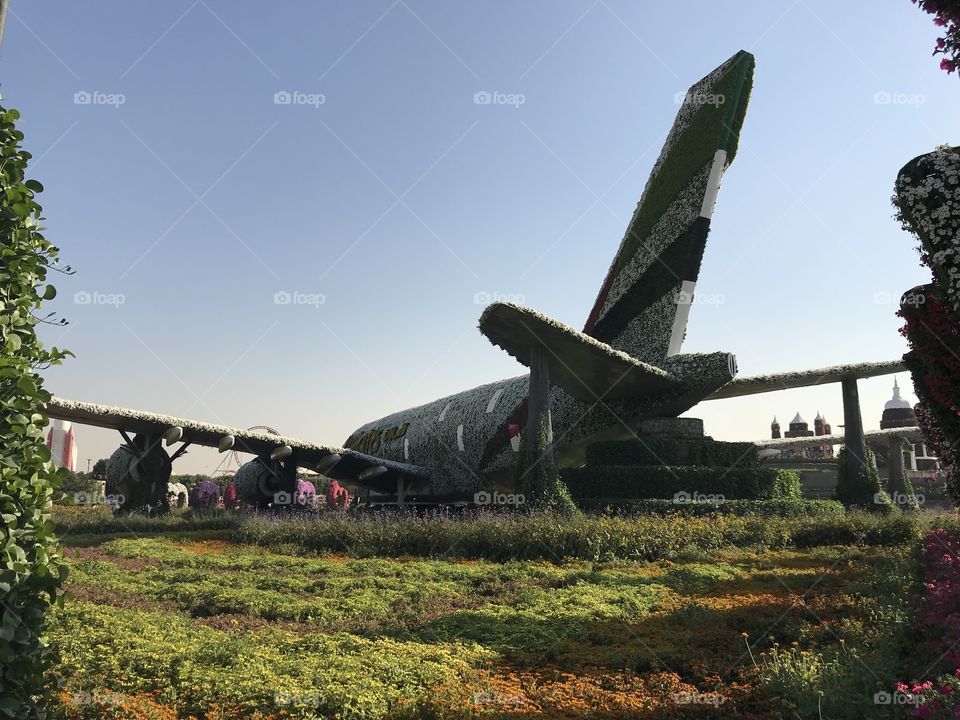 A emirates Airplane Cover in flowers at a flower Garden in The UAE