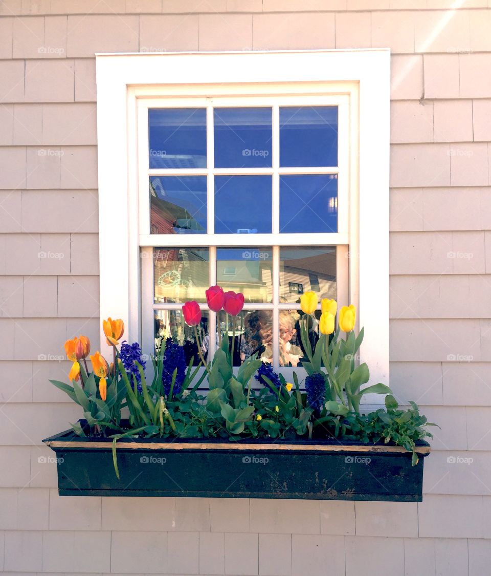Window Box