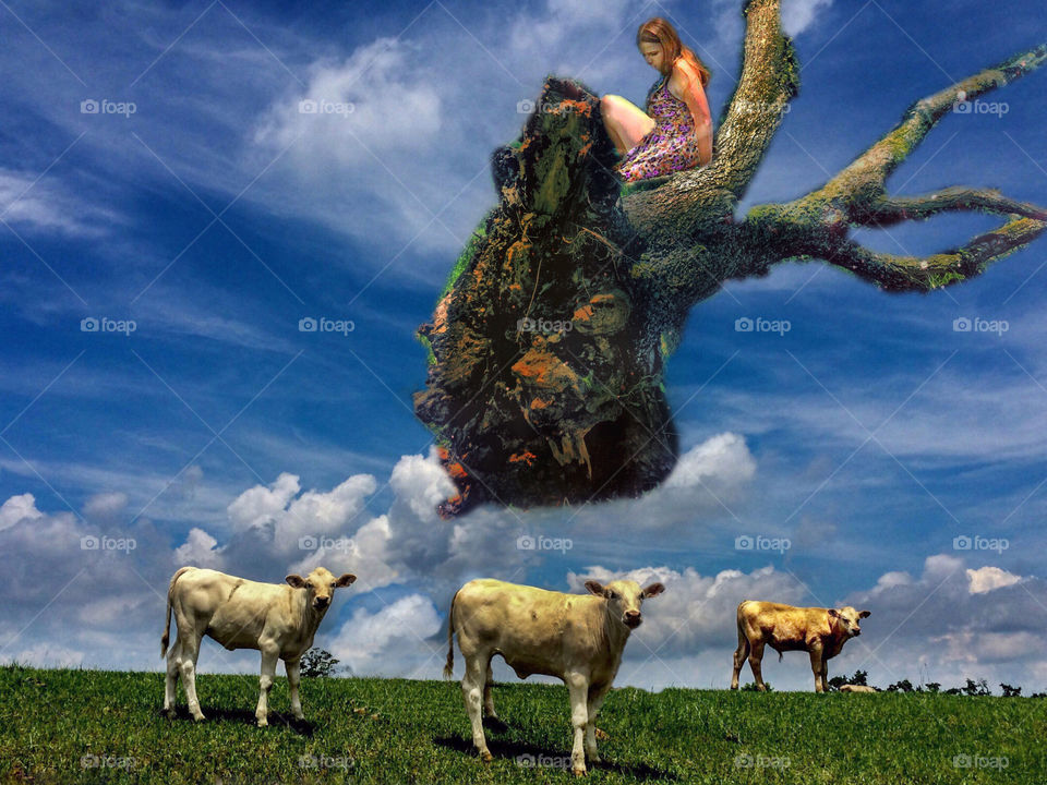 Woman sitting on tree over pasture