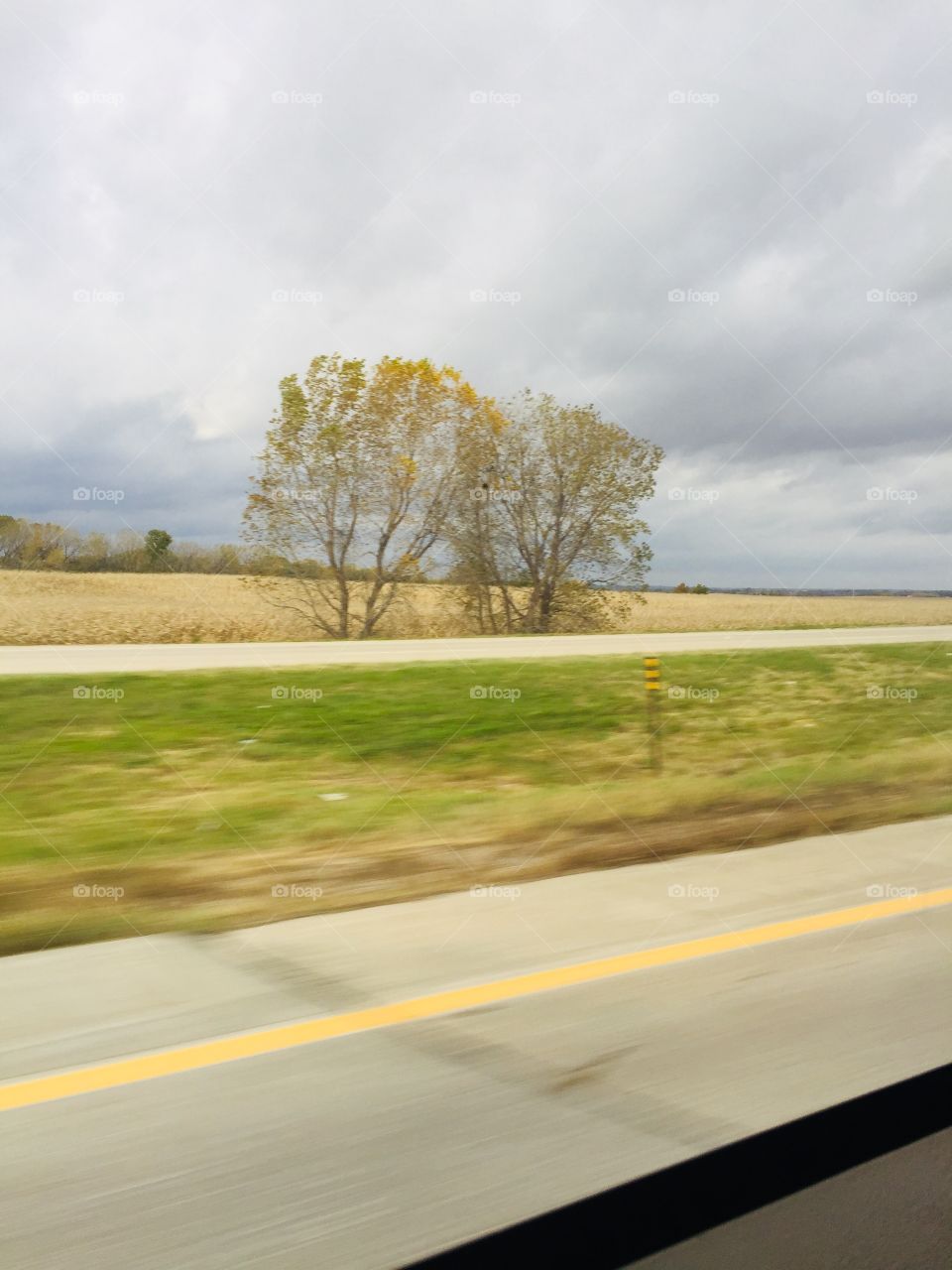Road, Landscape, No Person, Tree, Daylight