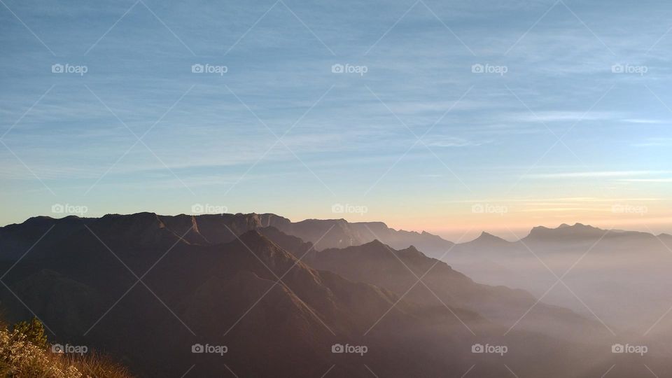 Nature does not hurry, yet everything is accomplished."