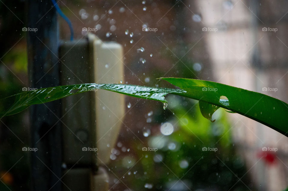 Impossible not to love the rain