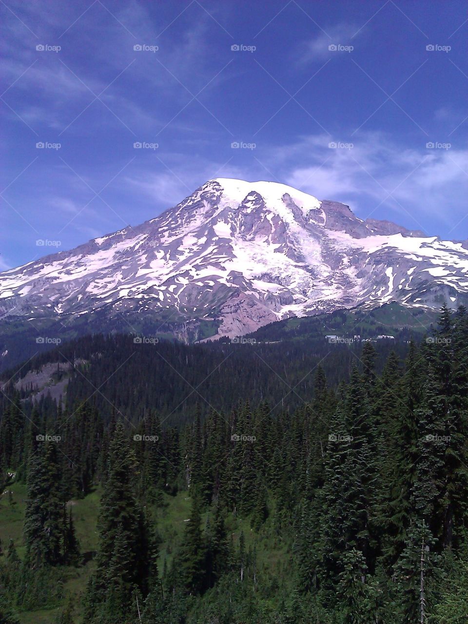 A mountain overlooking a forest in the foreground. Mt. Rainier in Washington state.