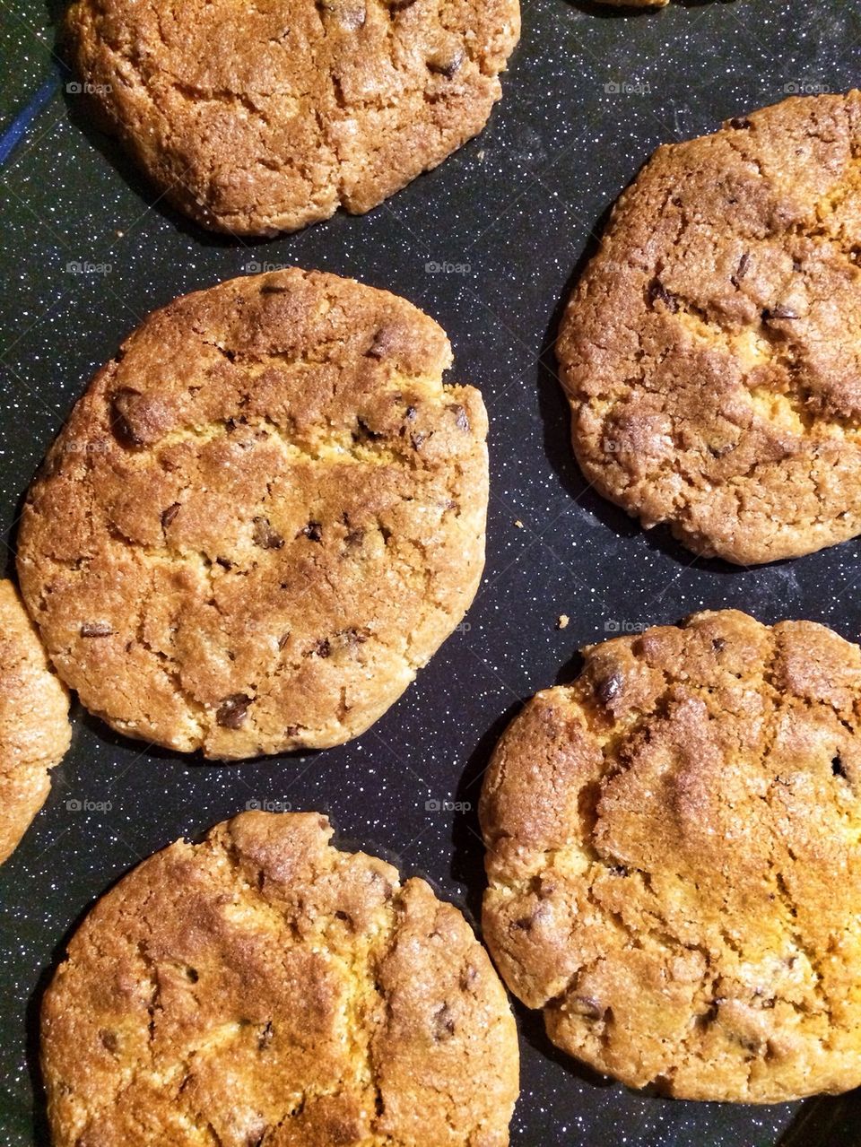 Chocolate Chip Cookie