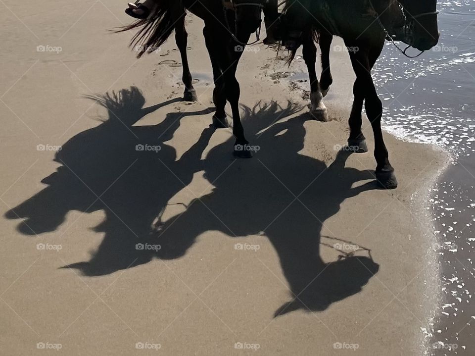 Horseback Long Beach