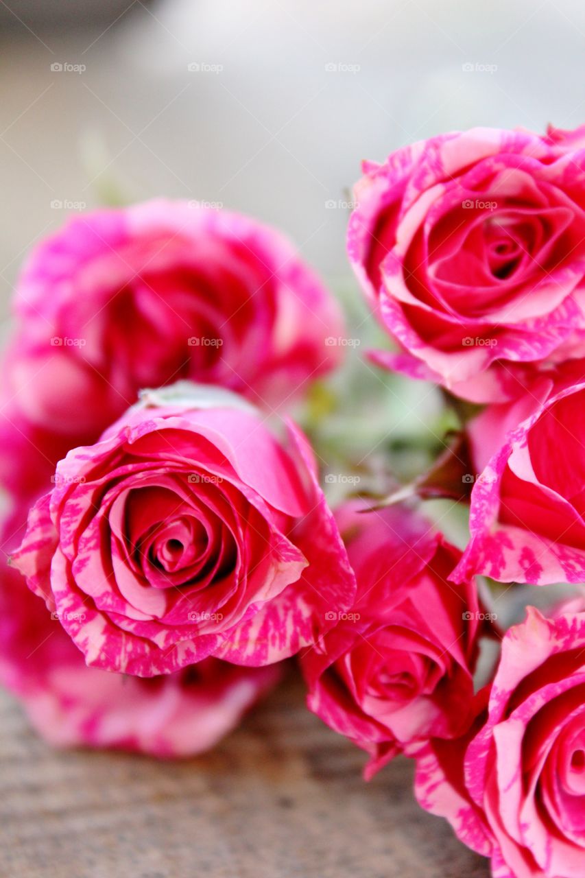 Bouquet of rose flowers