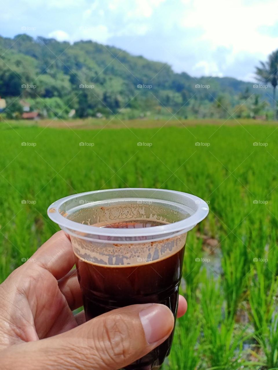 a cup of coffee on the edge of a rice field