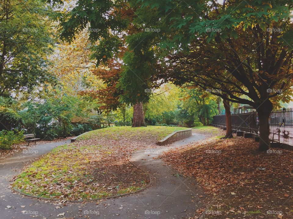 Autumn walk. London park in October 