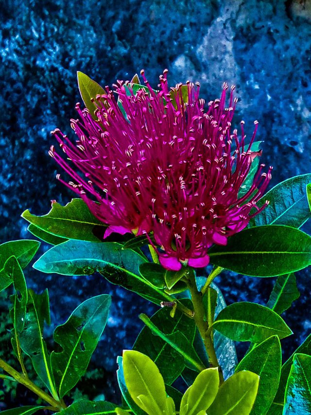 fresh blooming flowers in the morning