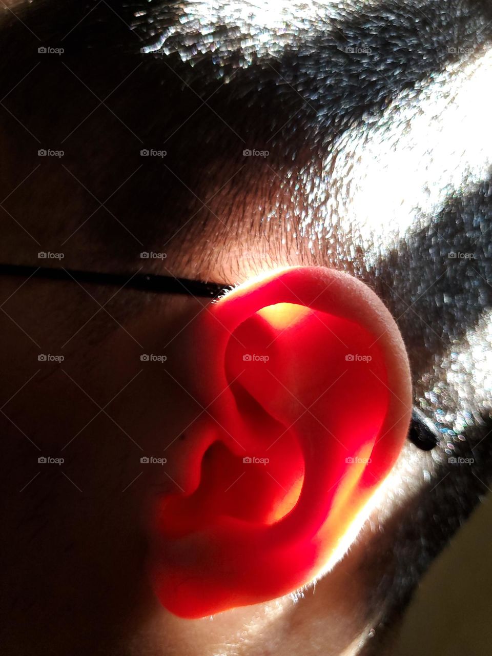 The face starts from one ear to another. Here is an in interesting view of the skin on the side of the face created by shadows and sunlight that give the ear a slightly translucent red glow.