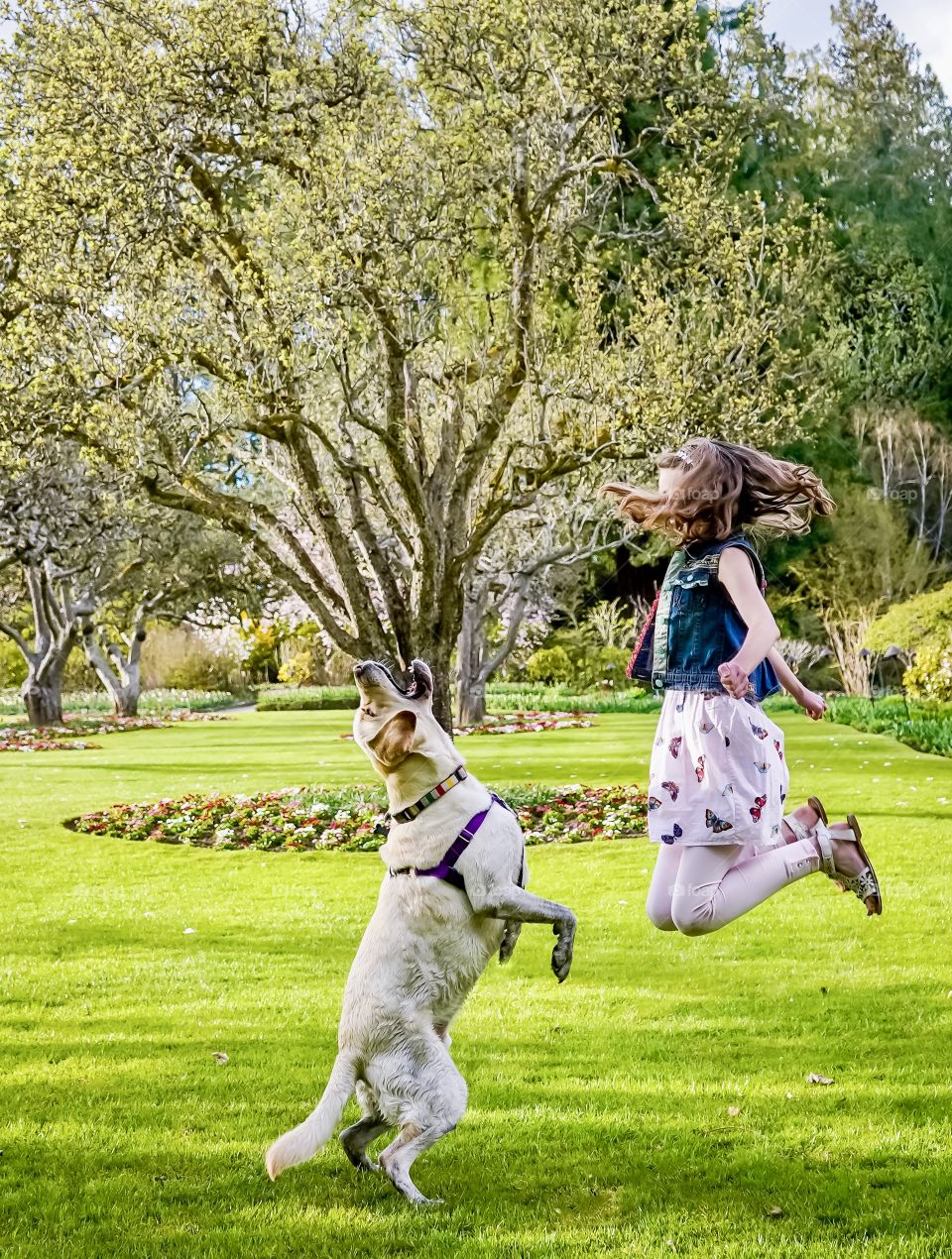 Girl and dog jumping in a park 