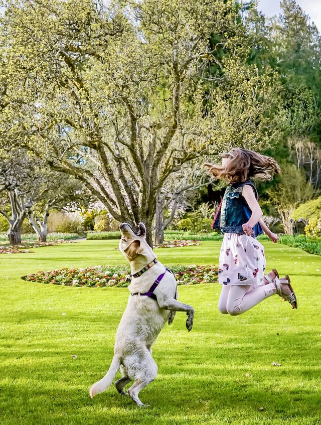 Girl and dog jumping in a park 