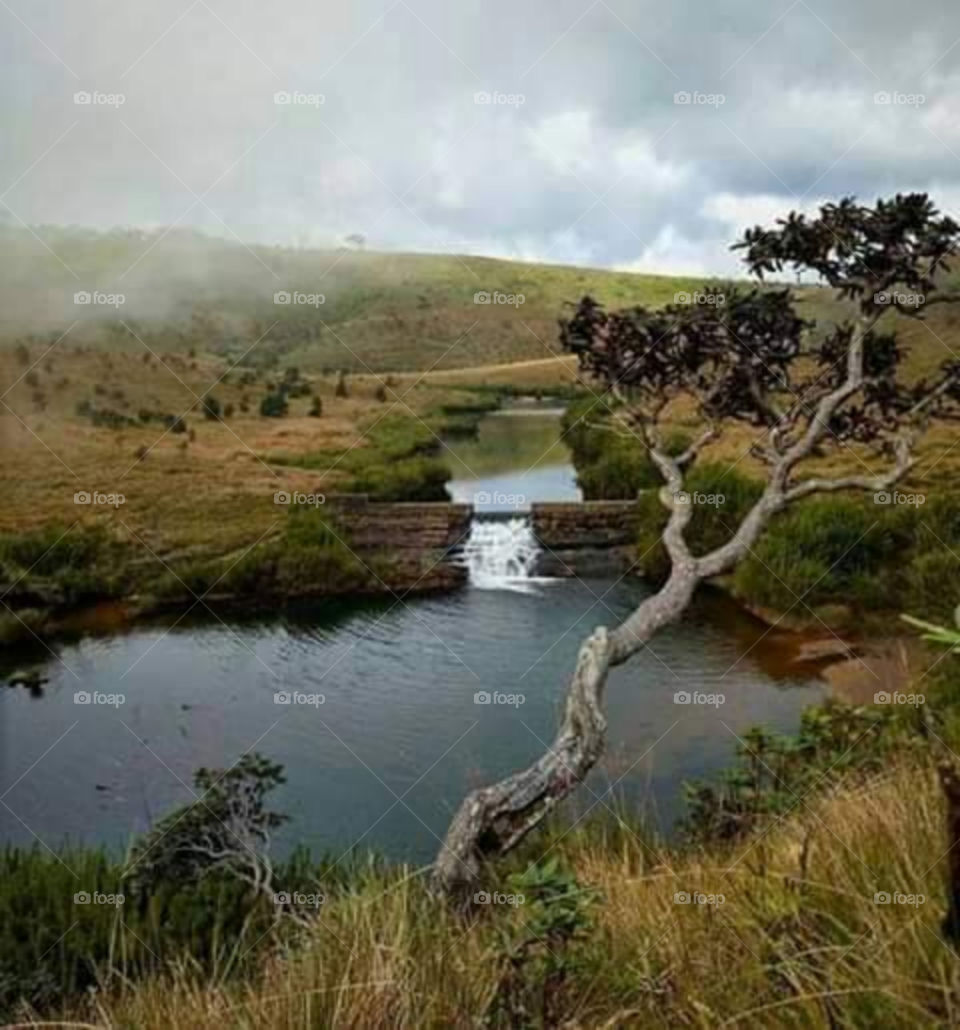 Beautiful environment