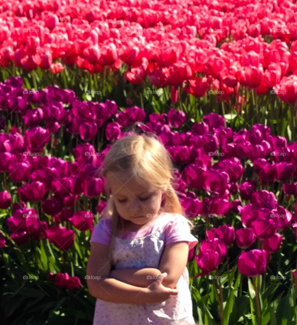 Tulip and child