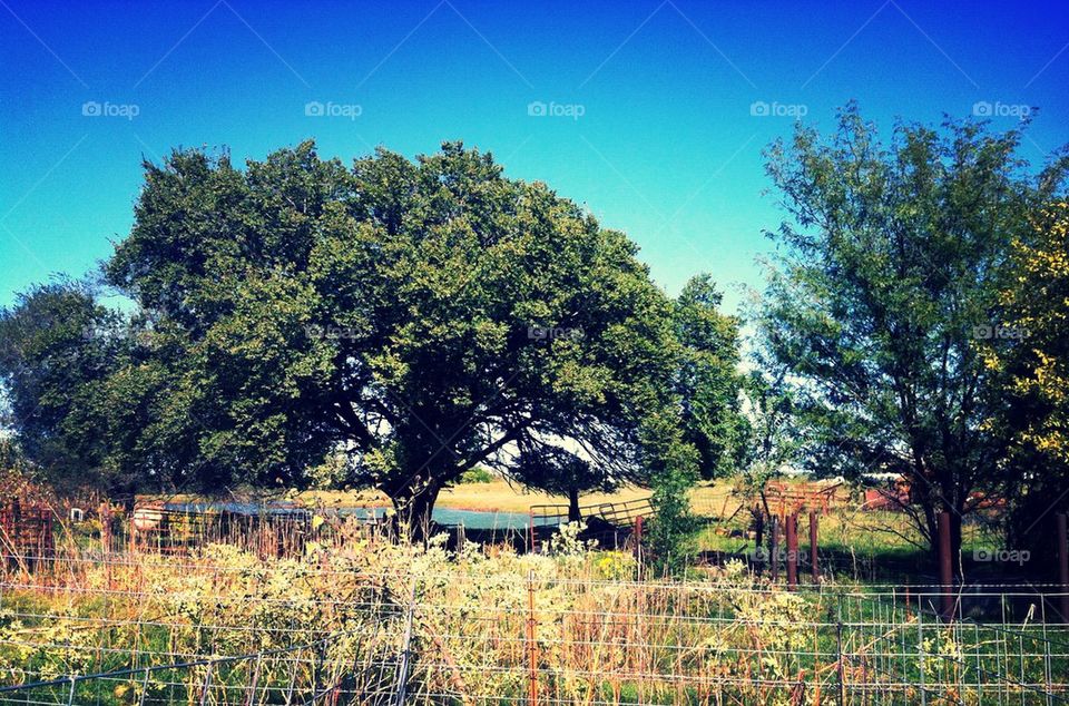 sky tree water lake by alyssah