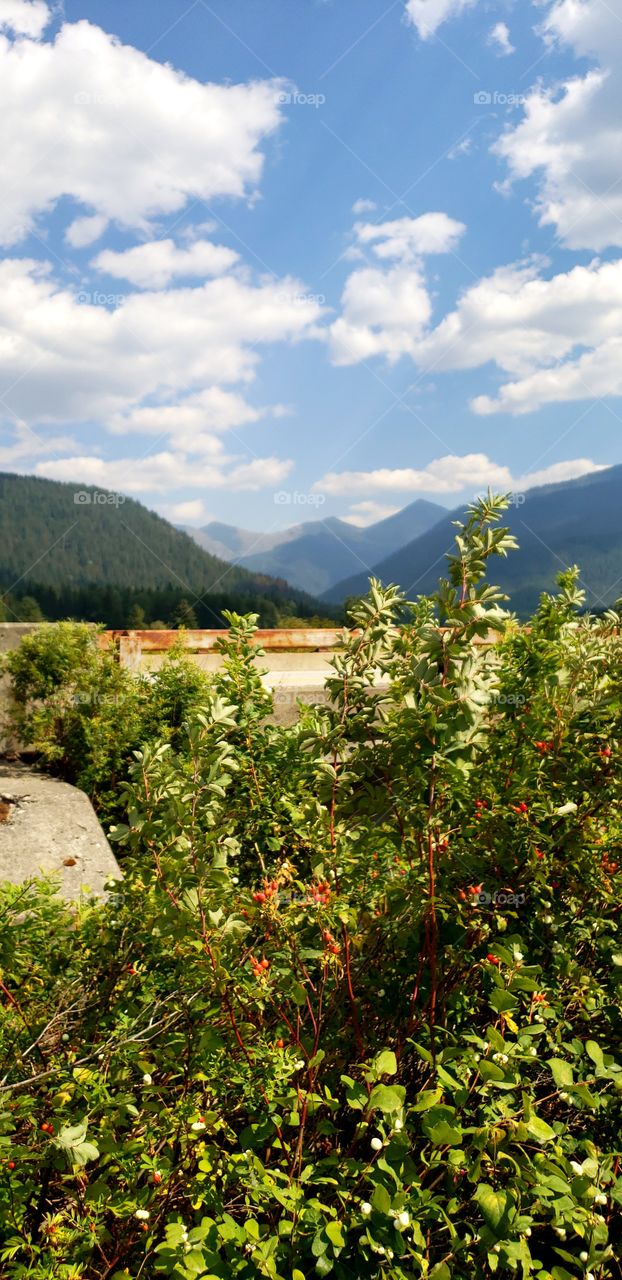 scenic mountain view