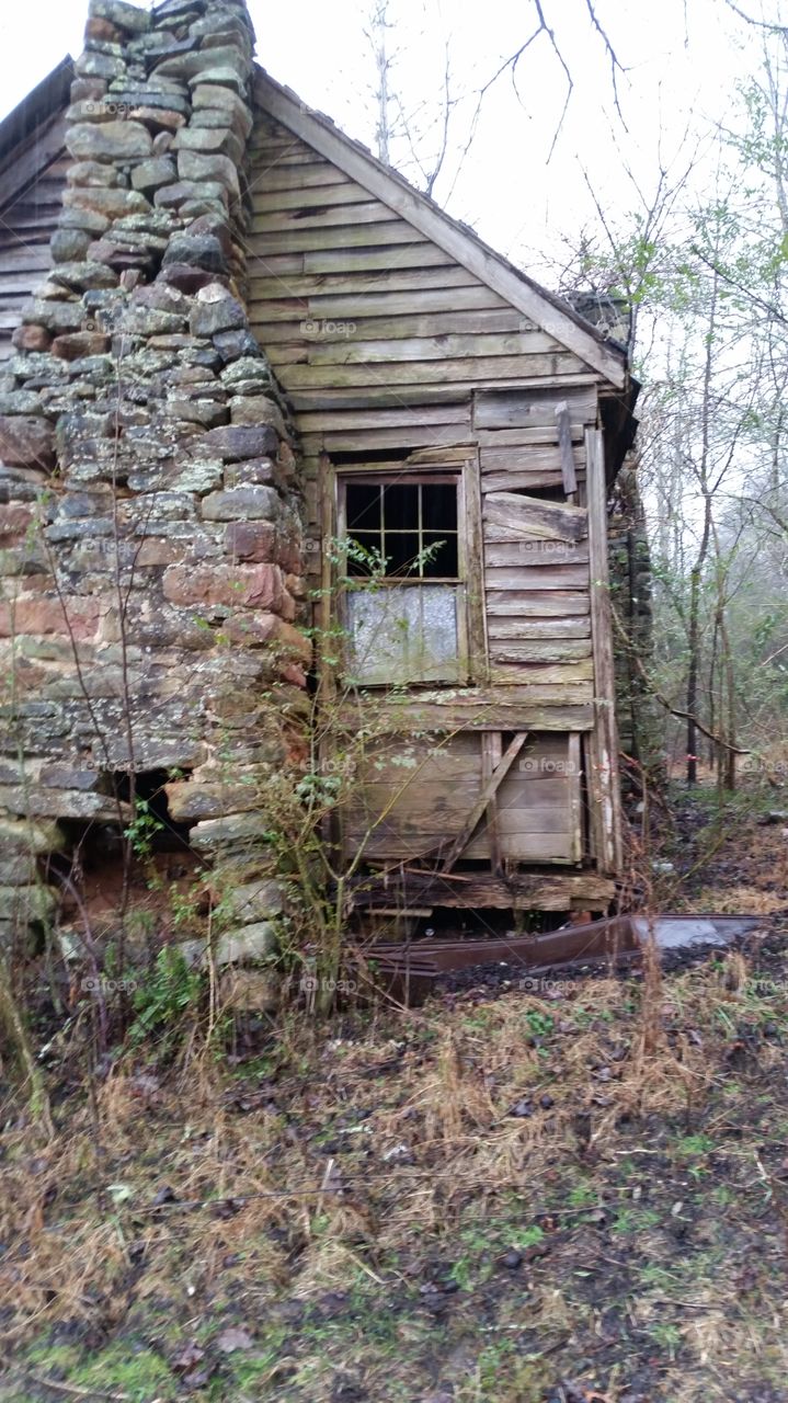 rustic. abandoned cabin