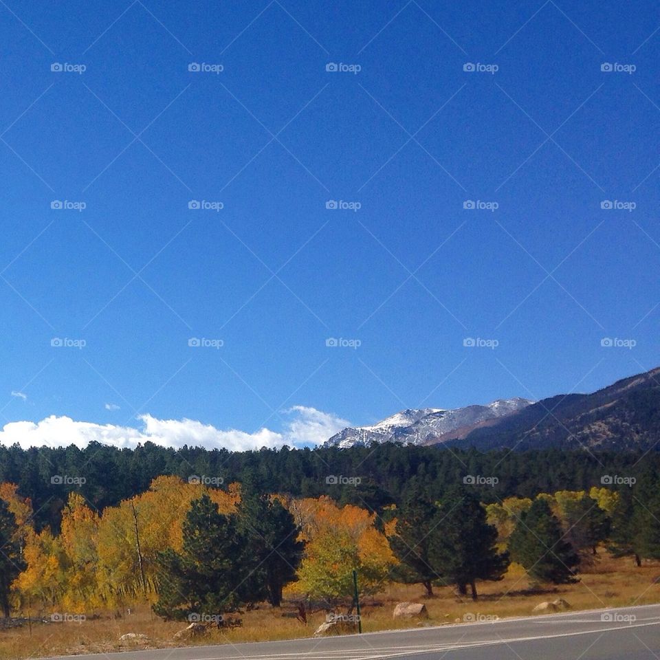 Fall in the Mountains