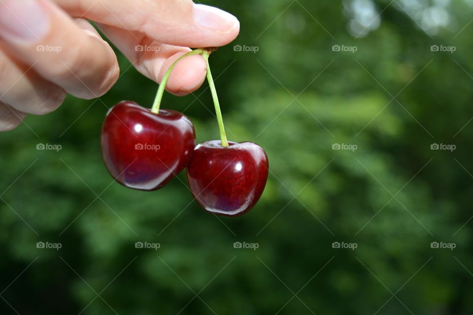 Food, Fruit, Cherry, Delicious, Juicy