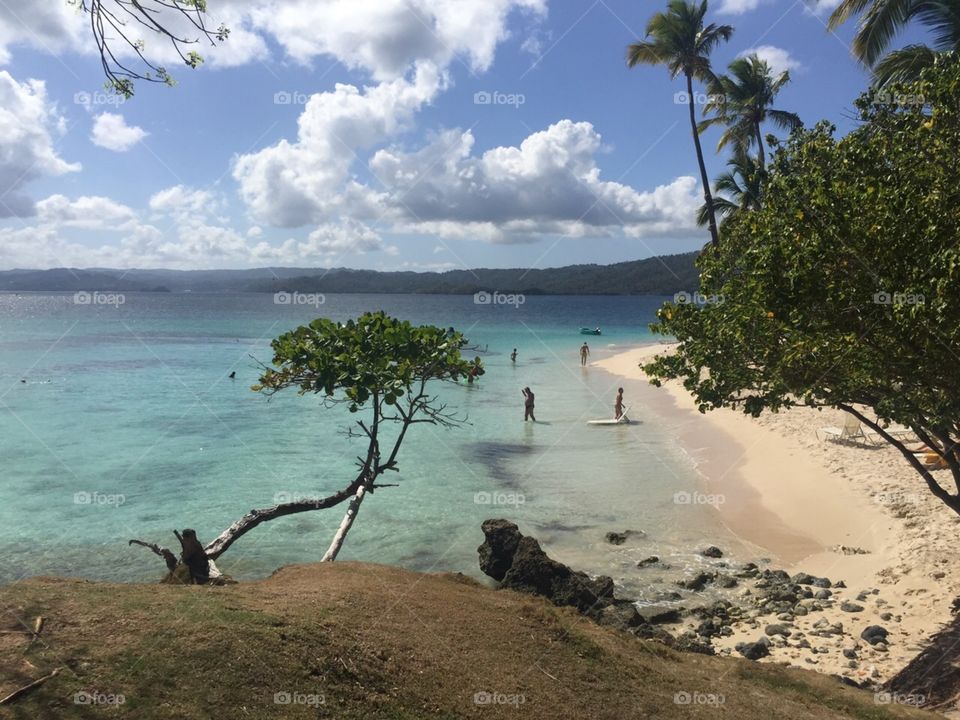 saona island