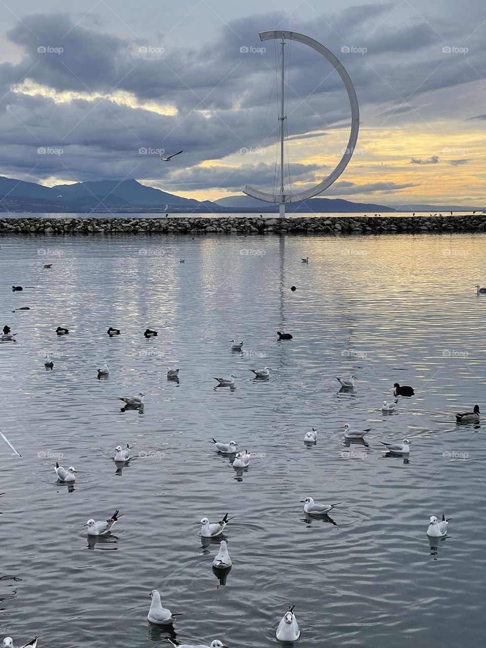 water birds swim on the surface of a lake at sunset with mountains in the background 