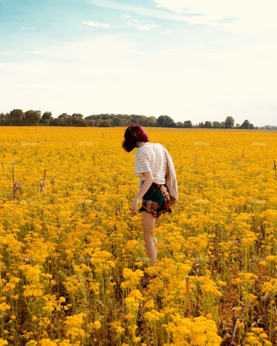 girl in a yellow field.