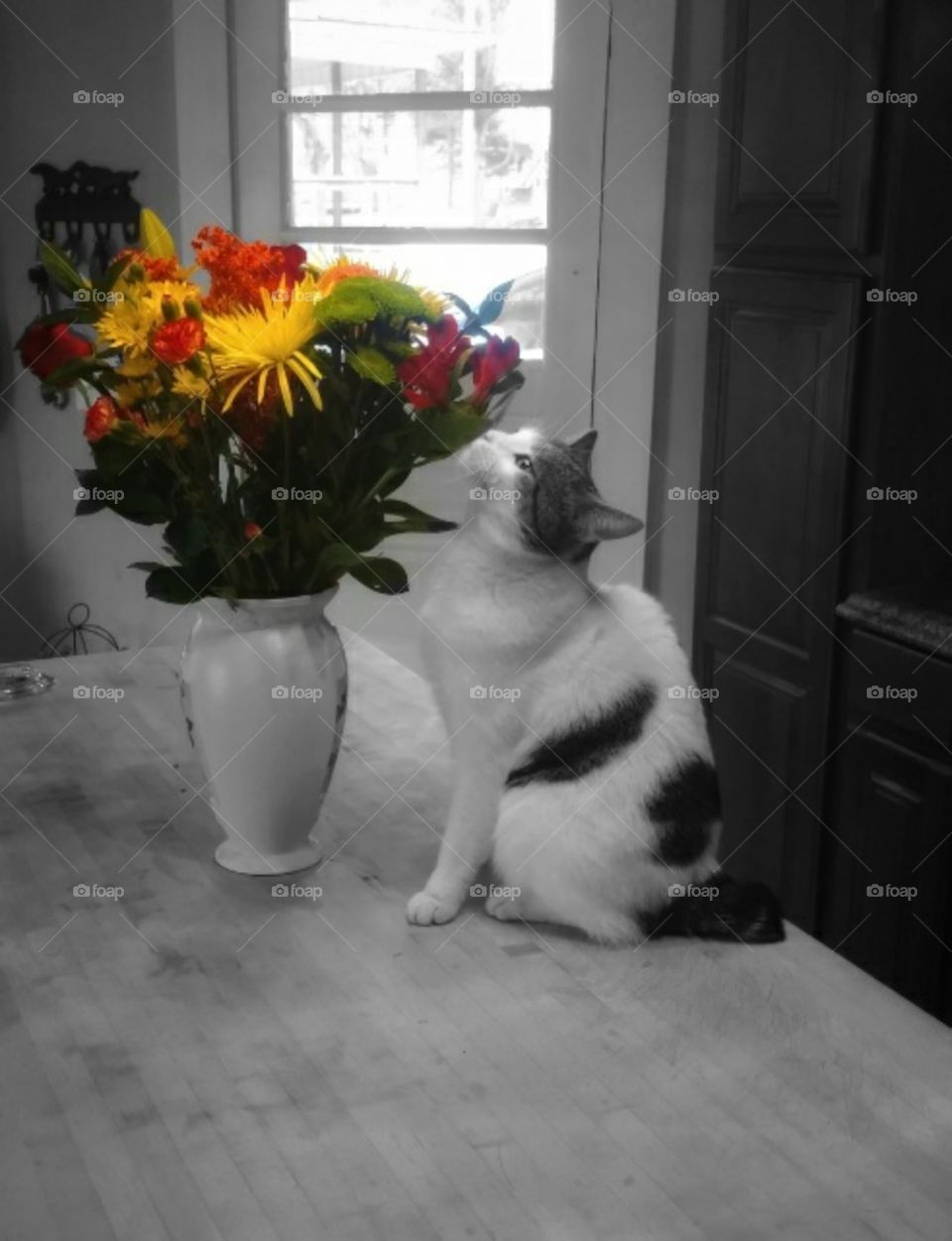 cat smelling flowers on table