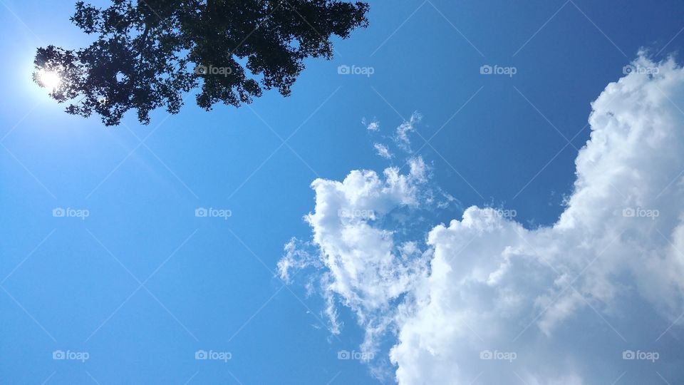 No Person, Sky, Nature, Fair Weather, High