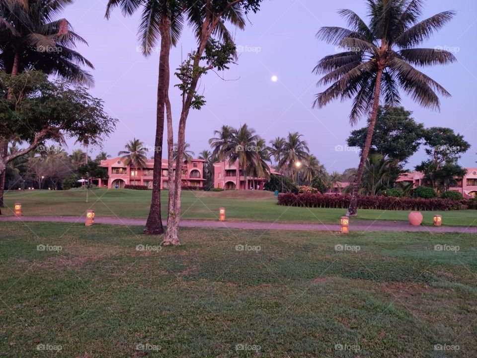 Goa 