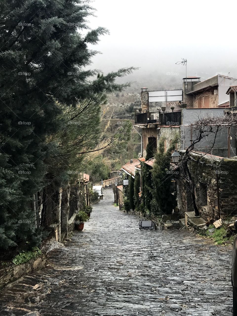 No todos los que deambulan están perdidos.