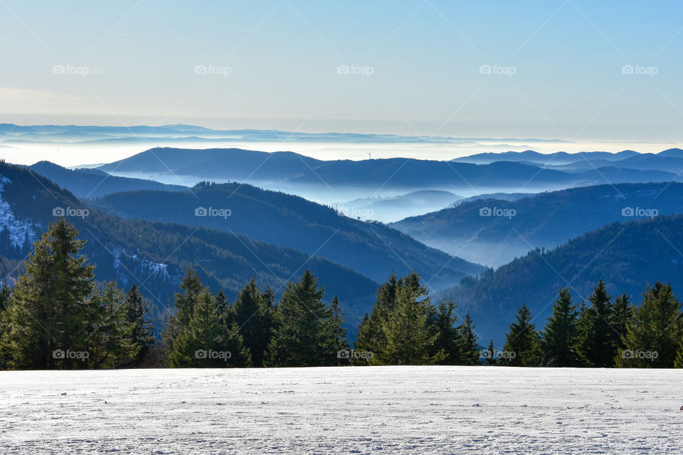 landscape and fog in the mountains