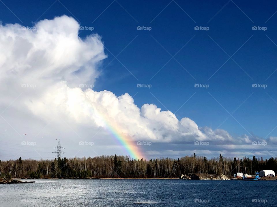 Northern rainbow