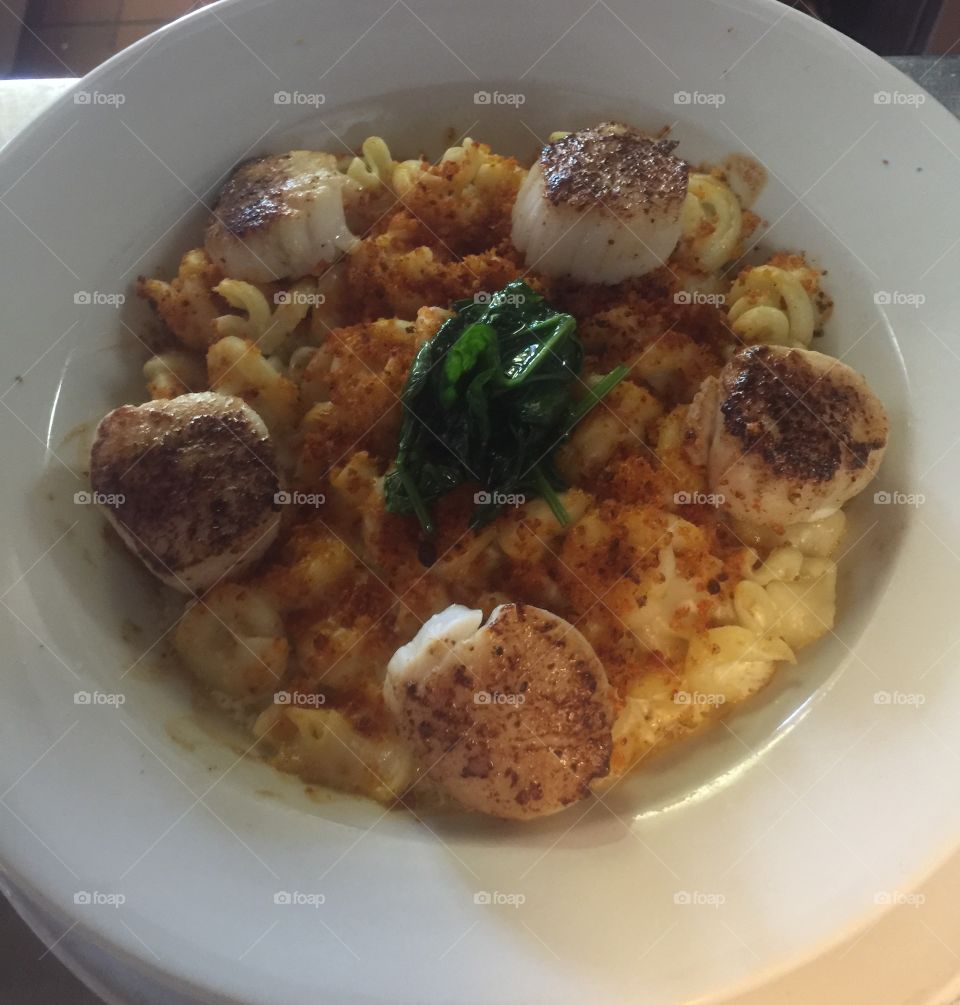 A scallop Mac & cheese. Topped with zesty panko crumbs and sautéed spinach. Baked to perfection ;)