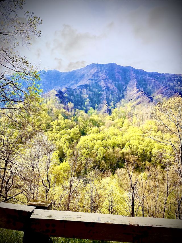 Mountains 