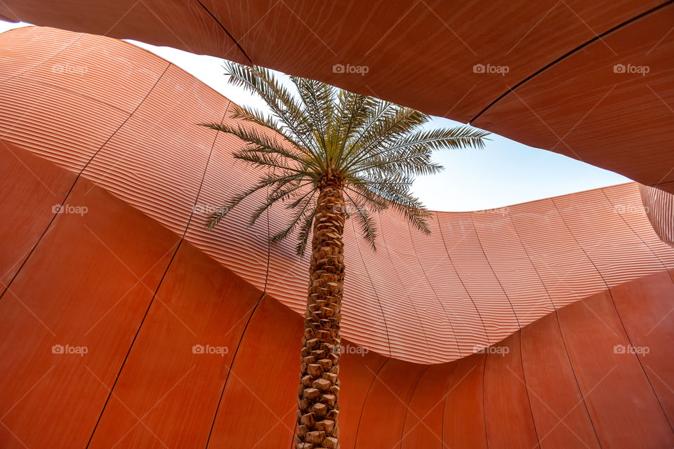 Palm tree surrounded by clay textured wall